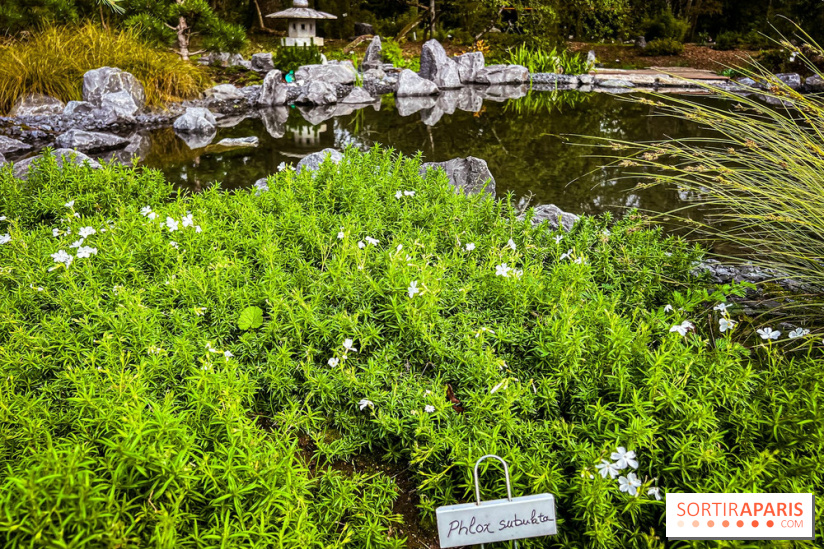 Les jardins japonais de Favières - photos - IMG 1771