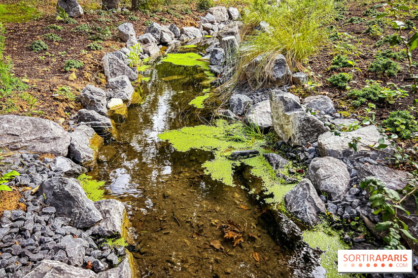 Les jardins japonais de Favières - photos