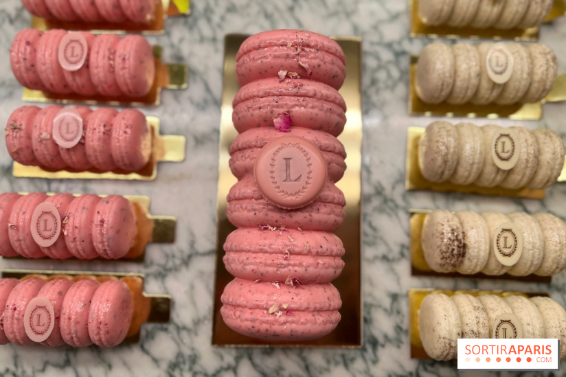 Ladurée - Bûches de Noël 2023 macarons
