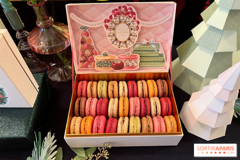 Ladurée - Bûches de Noël 2023 - Macarons