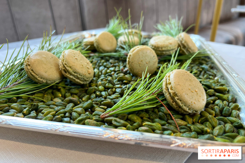 Dalloyau - Macarons de Noël 2023