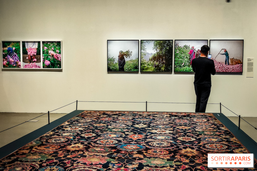 Parfums d'Orient, l'exposition qui enchante nos sens à l'Institut du Monde Arabe - photos