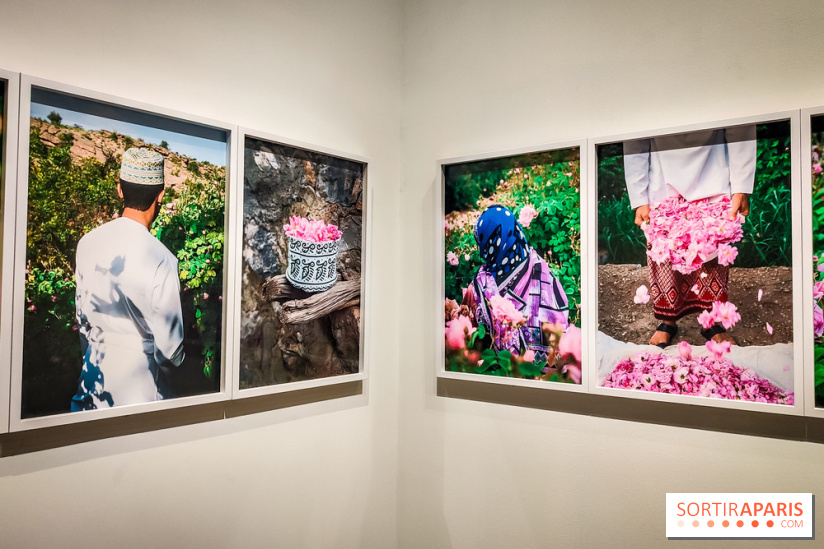 Parfums d'Orient, l'exposition qui enchante nos sens à l'Institut du Monde Arabe - photos