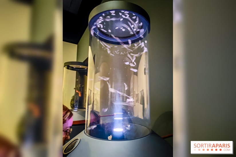 Parfums d'Orient, l'exposition qui enchante nos sens à l'Institut du Monde Arabe - photos