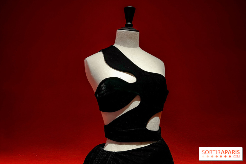Azzedine Alaïa, couturier collectionneur : l'exposition mode inédite au Palais Galliera - image00161