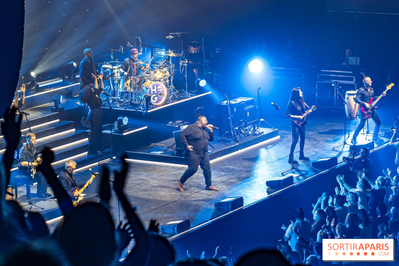 L'Héritage Goldman au Dôme de Paris - Palais des Sports - les photos