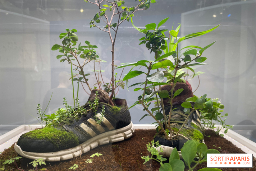 Exposition Le temps qu'il nous faut - IMG 0476