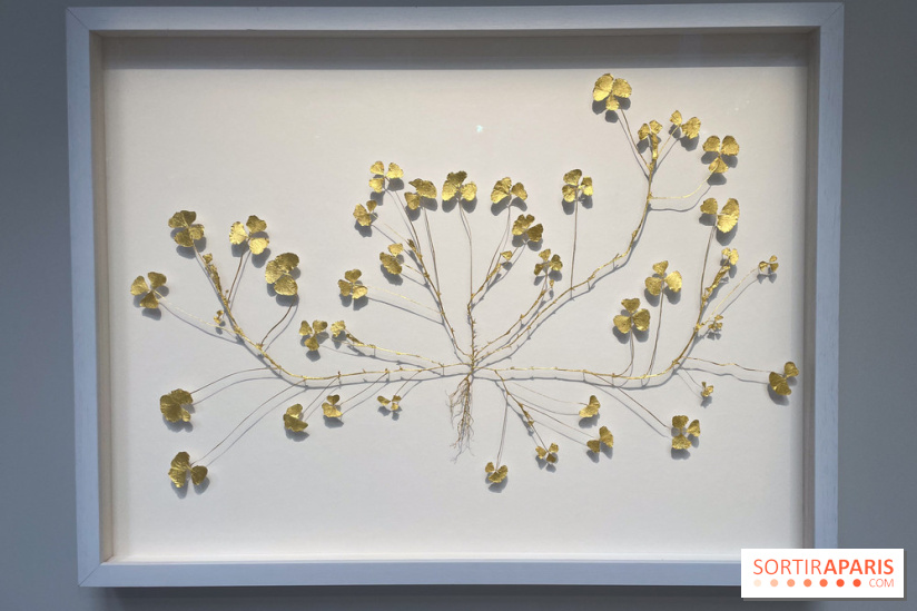 Exposition Le temps qu'il nous faut - IMG 0478