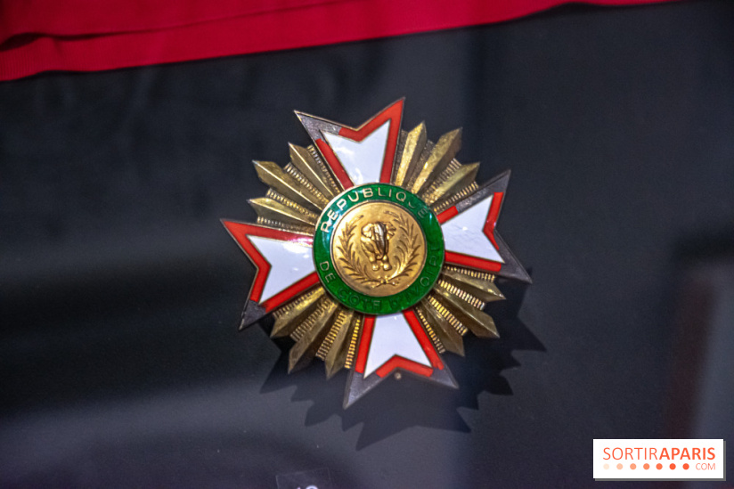 Exposition Le Chevalier du Ciel au Musée de l'Ordre de la Libération