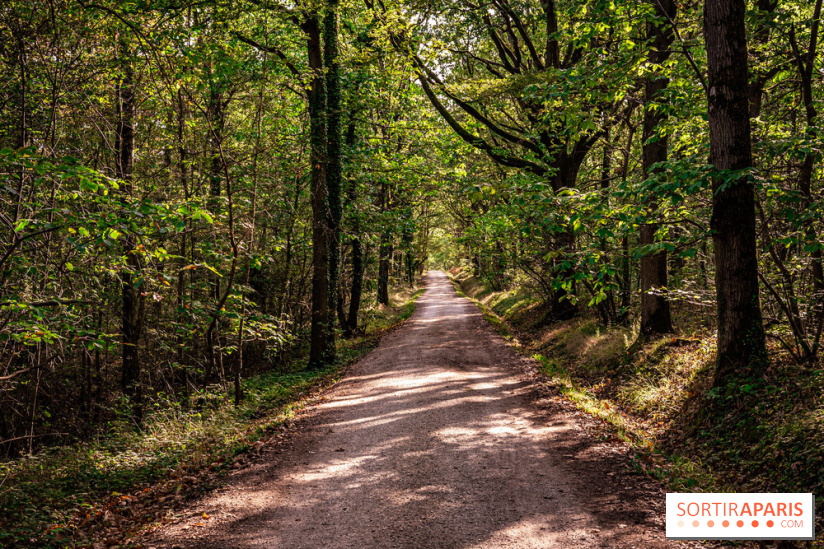 Le sentier des Maréchaux à Senlisse - Vallée de Chevreuse -  départ