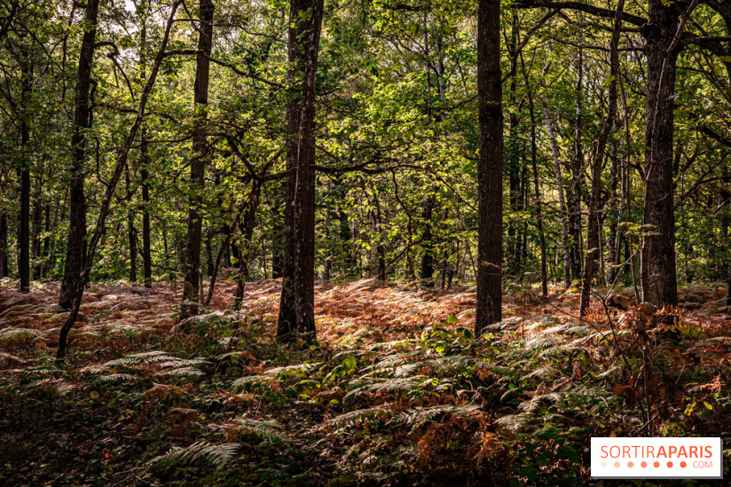 Le sentier des Maréchaux à Senlisse - Vallée de Chevreuse