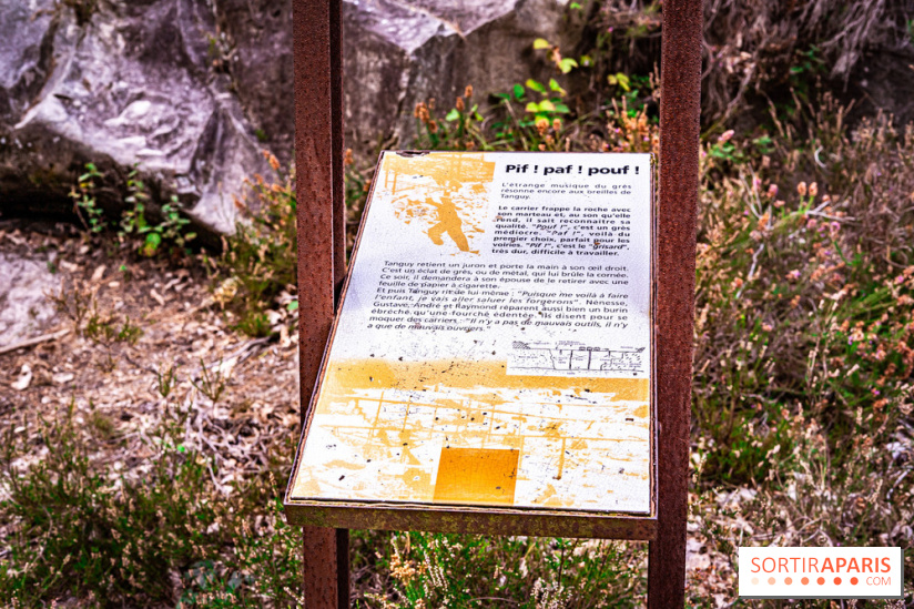Le sentier des Maréchaux à Senlisse - Vallée de Chevreuse -  A7C2481