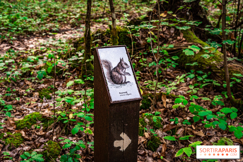 Le sentier des Maréchaux à Senlisse - Vallée de Chevreuse -  A7C2489