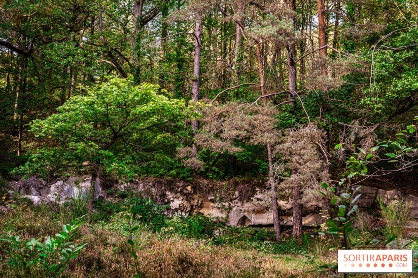Le sentier des Maréchaux à Senlisse - Vallée de Chevreuse