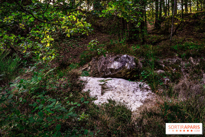 Le sentier des Maréchaux à Senlisse - Vallée de Chevreuse