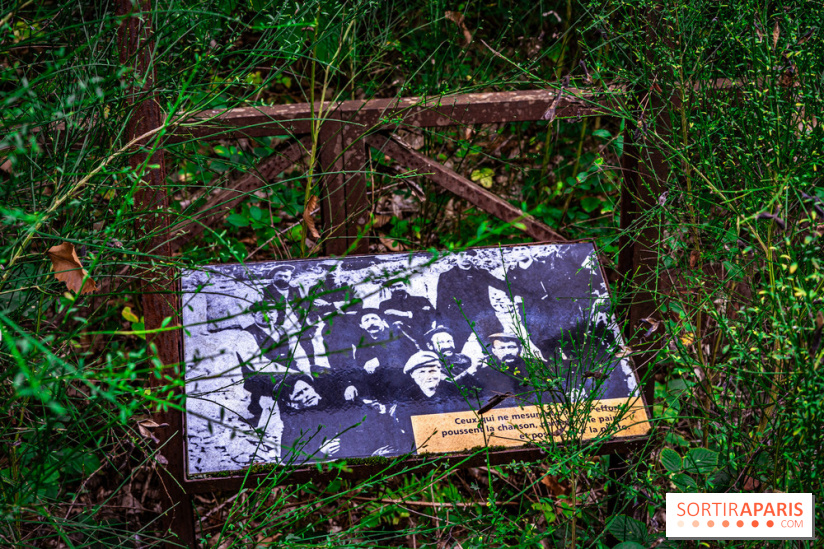 Le sentier des Maréchaux à Senlisse - Vallée de Chevreuse -  A7C2499
