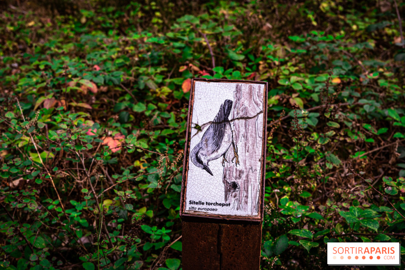 Le sentier des Maréchaux à Senlisse - Vallée de Chevreuse -  panneau faune flore