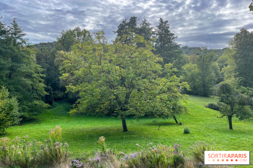 La maison littéraire de Victor Hugo, joyau patrimonial à Bièvres (91) - image00016
