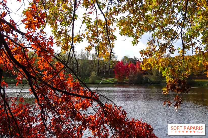 Bassin - étang de la Boissière à Elancourt