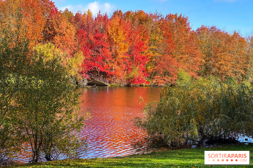 Bassin - étang de la Boissière à Elancourt