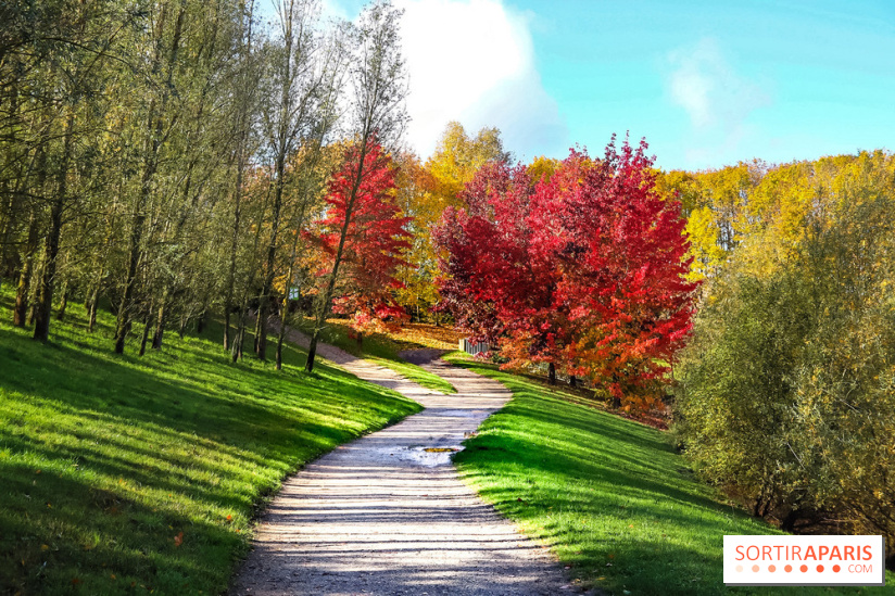 Bassin - étang de la Boissière à Elancourt