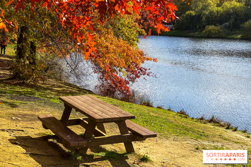 Bassin - étang de la Boissière à Elancourt