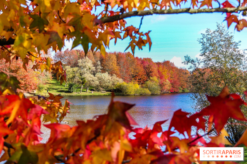 Bassin - étang de la Boissière à Elancourt