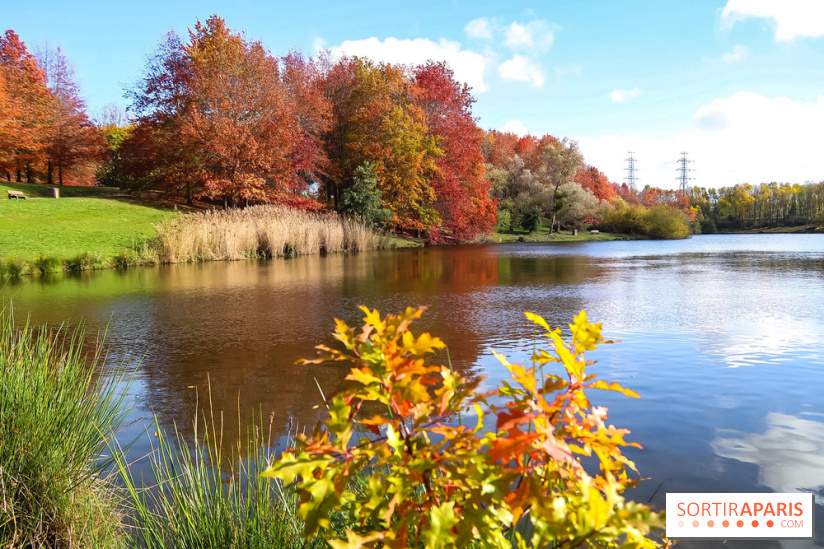 Bassin - étang de la Boissière à Elancourt