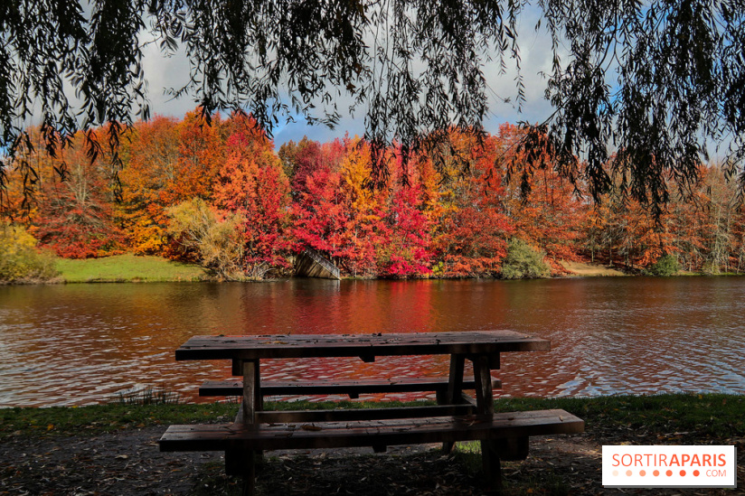 Bassin - étang de la Boissière à Elancourt