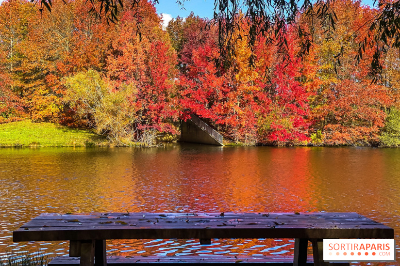 Bassin - étang de la Boissière à Elancourt