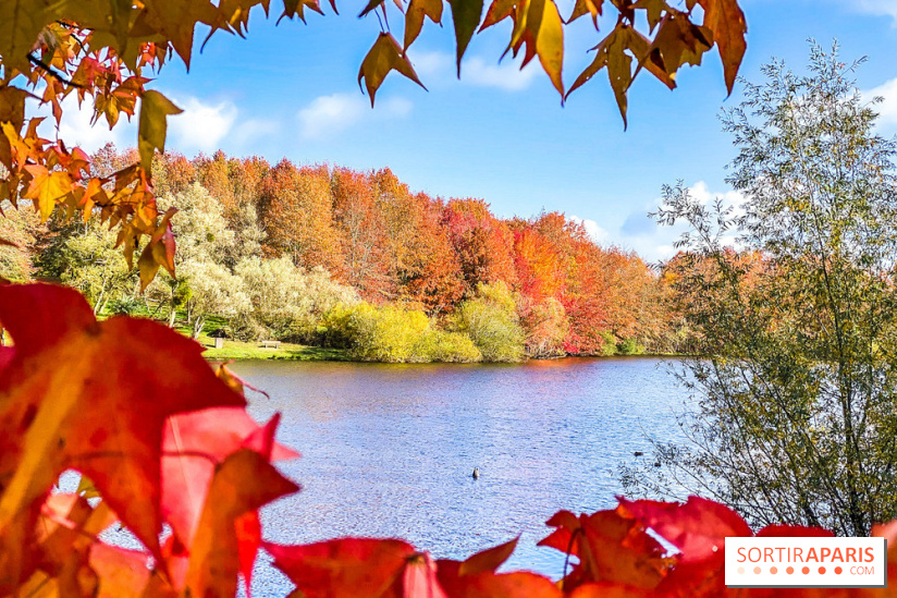 Bassin - étang de la Boissière à Elancourt