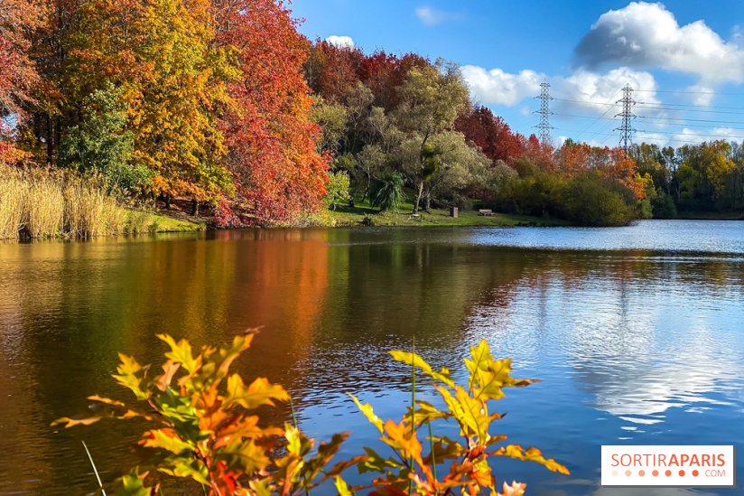 Bassin - étang de la Boissière à Elancourt