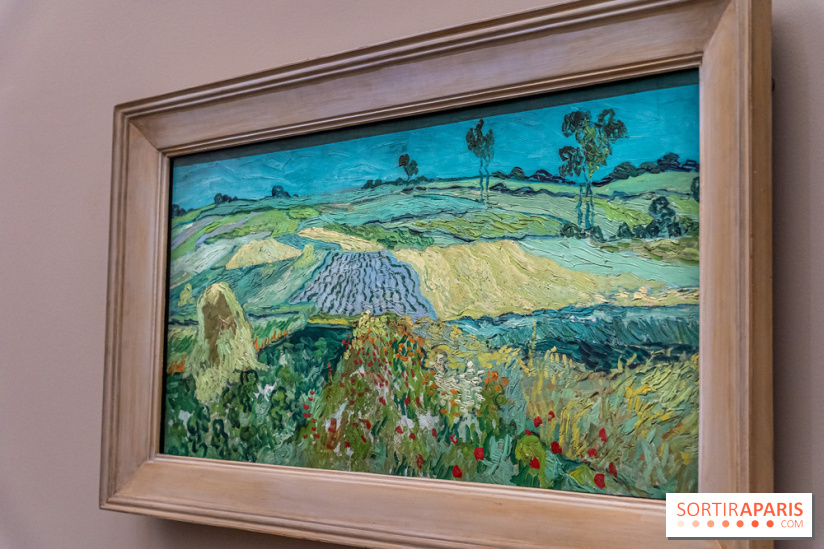 Exposition Van Gogh au Musée d’Orsay - Auvers-sur-Oise, les derniers mois -  A7C3111