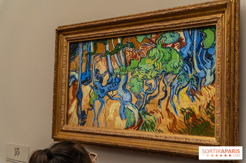 Exposition Van Gogh au Musée d’Orsay - Auvers-sur-Oise, les derniers mois -  A7C3116
