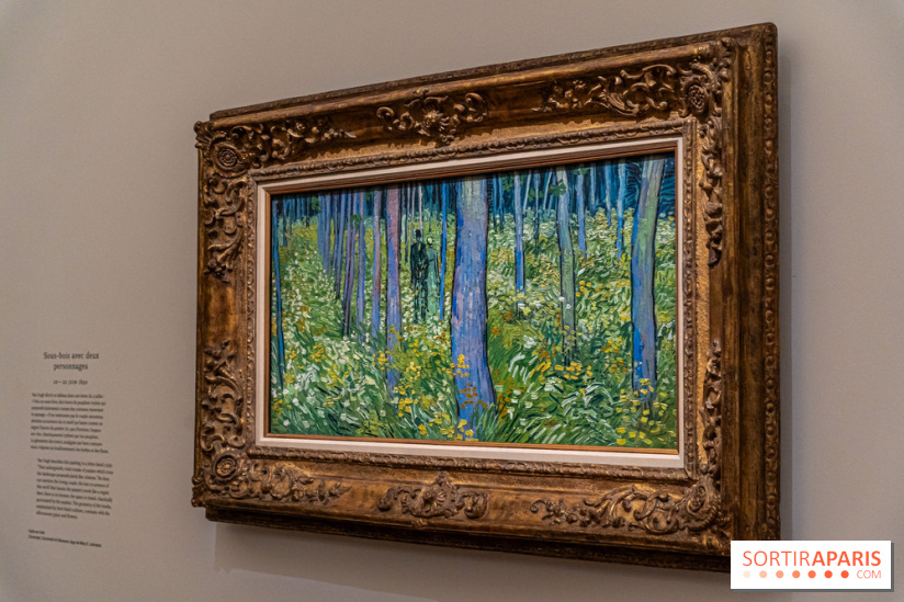Exposition Van Gogh au Musée d’Orsay - Auvers-sur-Oise, les derniers mois -  A7C3118