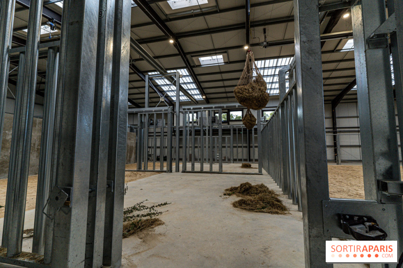 Les lodges de Thoiry - dormir à Thoiry en Terres d'Afrique - Photos -  A7C3254