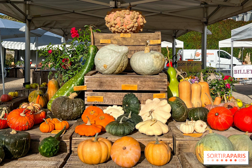 Automne au Potager du Roi - Citrouilles - Halloween