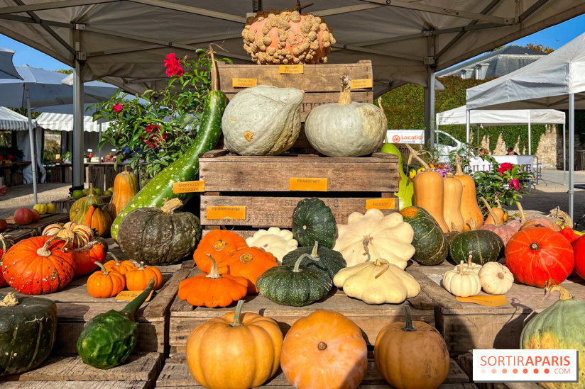 Automne au Potager du Roi - Citrouilles - Halloween