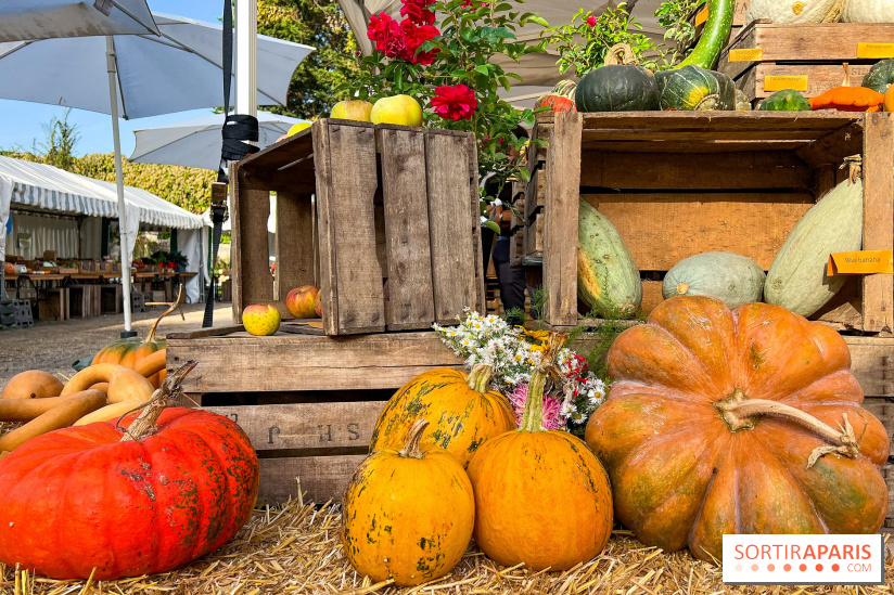 Automne au Potager du Roi - Citrouilles - Halloween