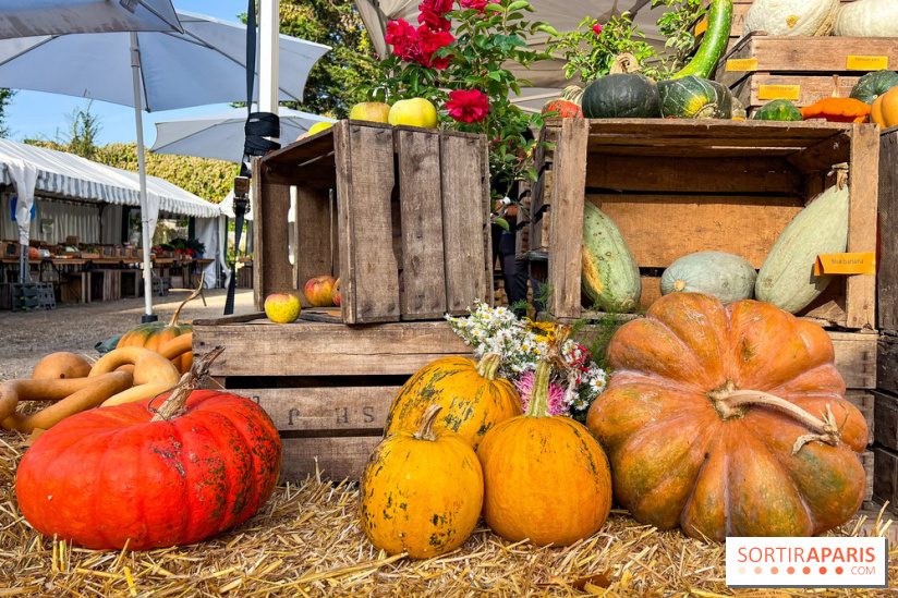 Automne au Potager du Roi - Citrouilles - Halloween