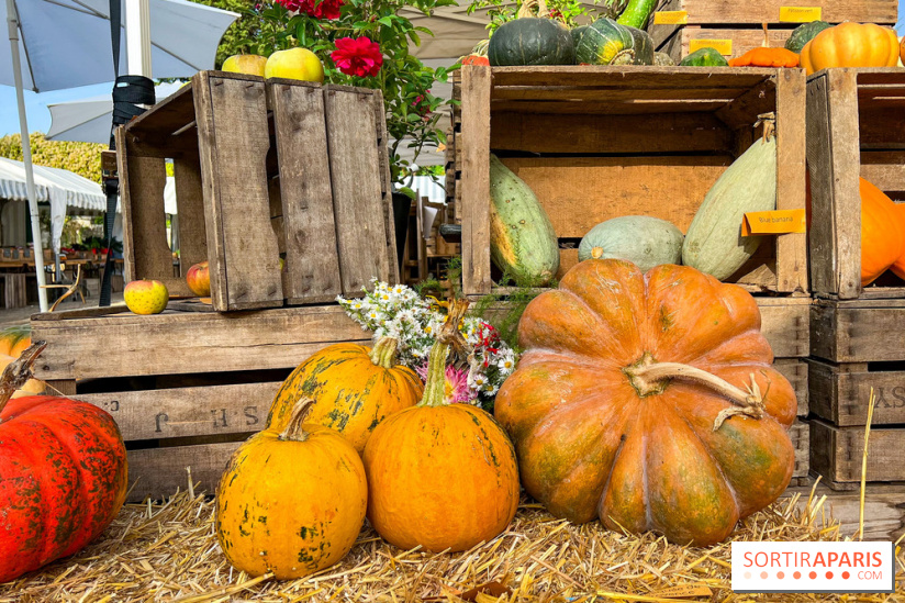 Automne au Potager du Roi - Citrouilles - Halloween