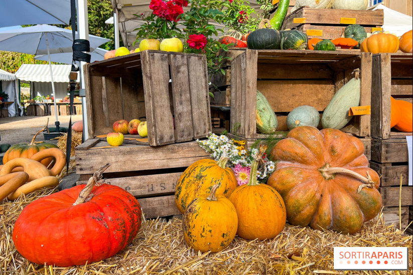Automne au Potager du Roi - Citrouilles - Halloween