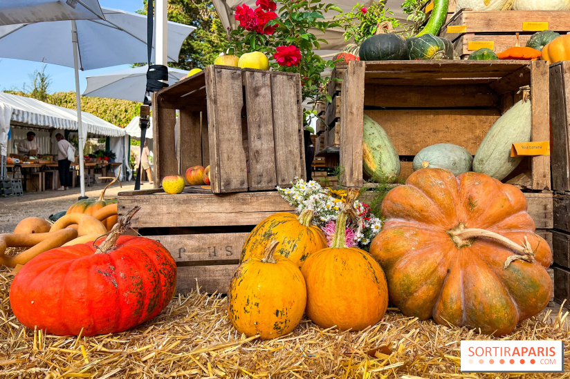Automne au Potager du Roi - Citrouilles - Halloween