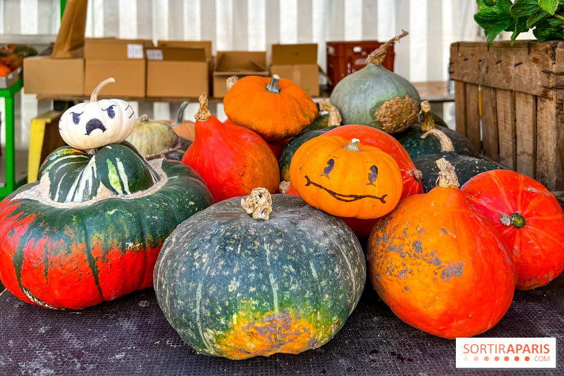 Automne au Potager du Roi - Citrouilles - Halloween