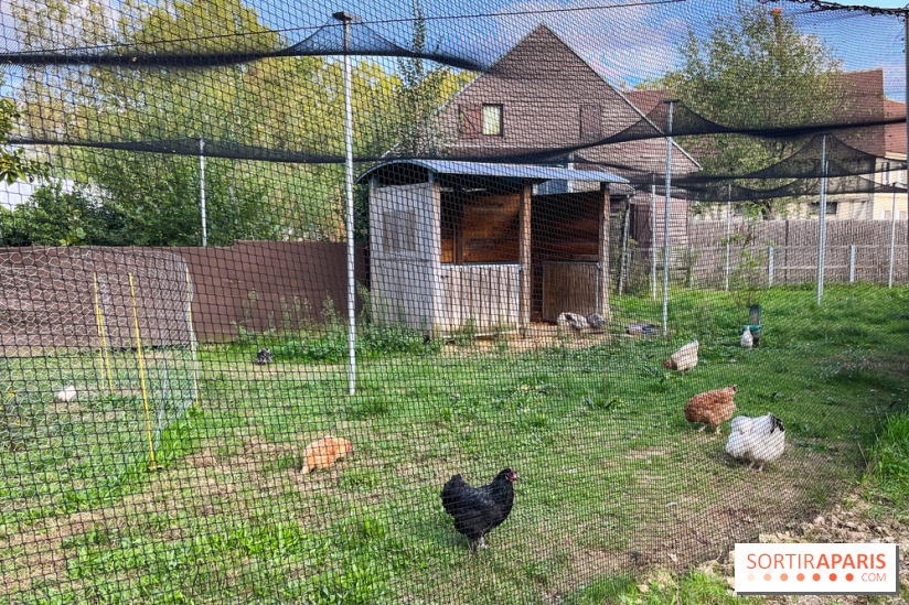 La ferme pédagogique du parc des Chanteraines