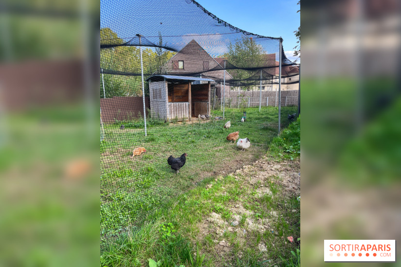 La ferme pédagogique du parc des Chanteraines - image00047