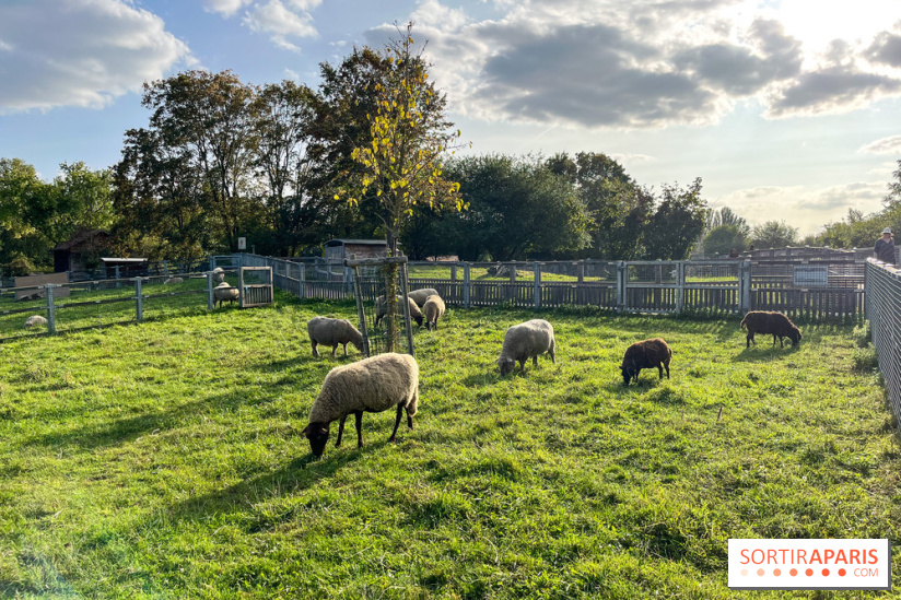 La ferme pédagogique du parc des Chanteraines