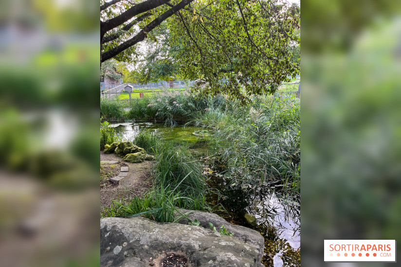 La ferme pédagogique du parc des Chanteraines - image00039
