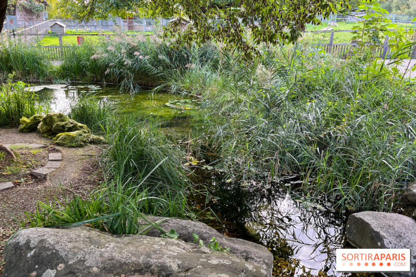 La ferme pédagogique du parc des Chanteraines - image00040