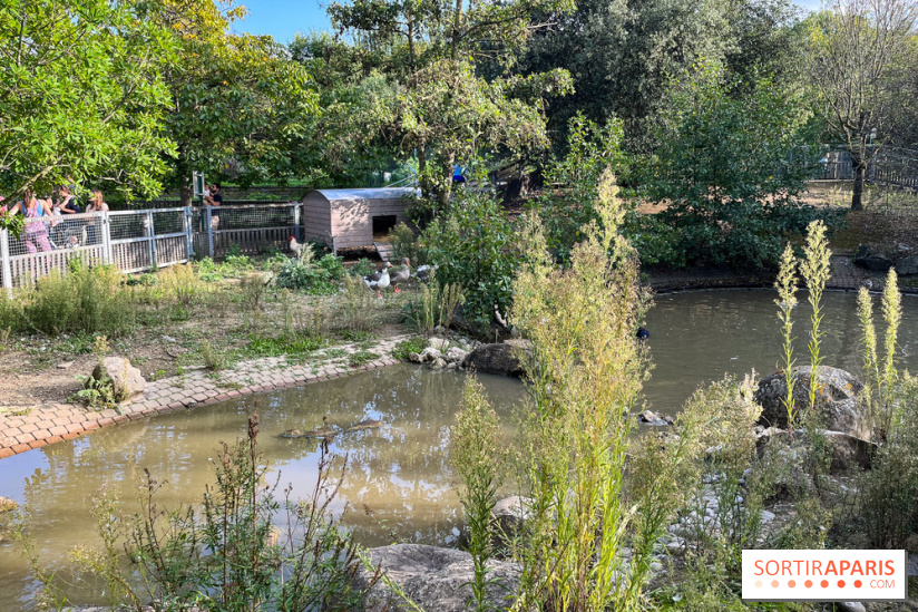 La ferme pédagogique du parc des Chanteraines - image00038